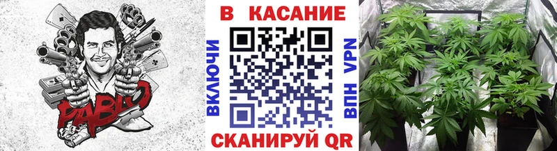 Где купить наркоту Палласовка Канабис  КОКАИН  Гашиш  Alpha PVP  АМФЕТАМИН  Меф мяу мяу 