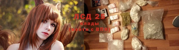 прущие грибы Наволоки