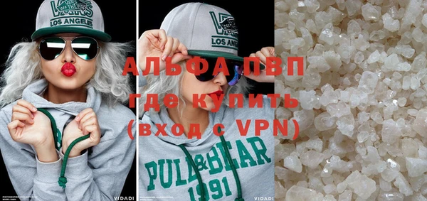 прущие грибы Наволоки