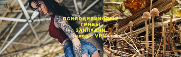 МДПВ Навашино