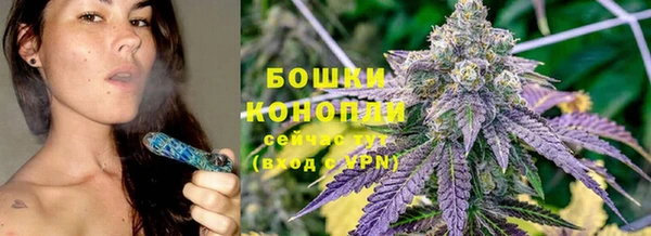 ПСИЛОЦИБИНОВЫЕ ГРИБЫ Алапаевск