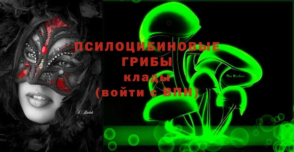 МДПВ Навашино