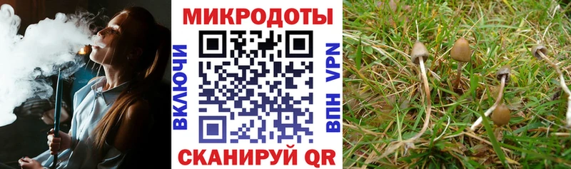 Псилоцибиновые грибы Cubensis  Палласовка 