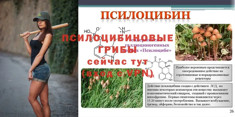 Псилоцибиновые грибы MAGIC MUSHROOMS  blacksprut   Палласовка 